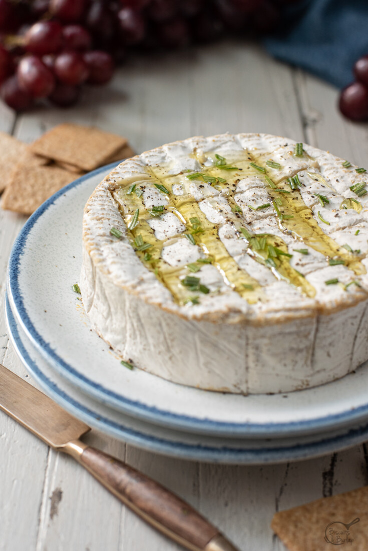 camembert vs. brie taste testing