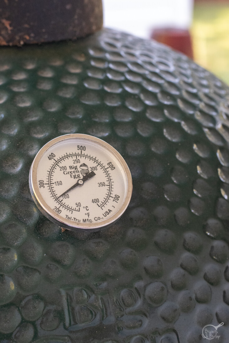 close up of temperature gauge on Big Green Egg