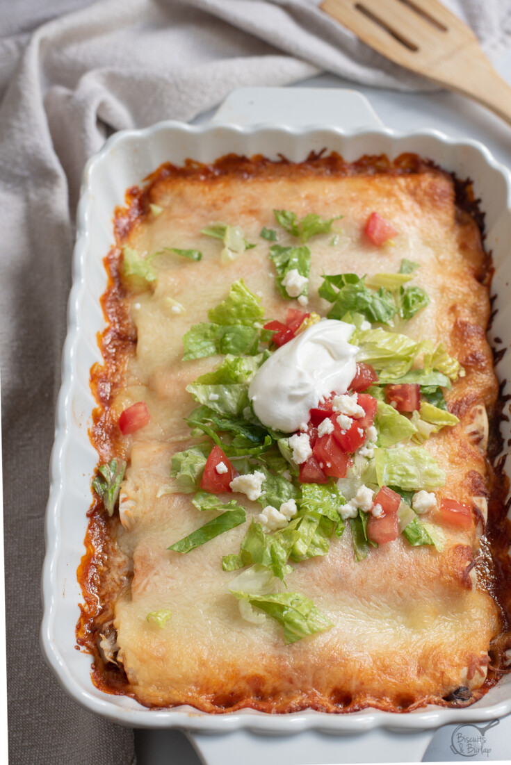 low carb enchiladas with toppings