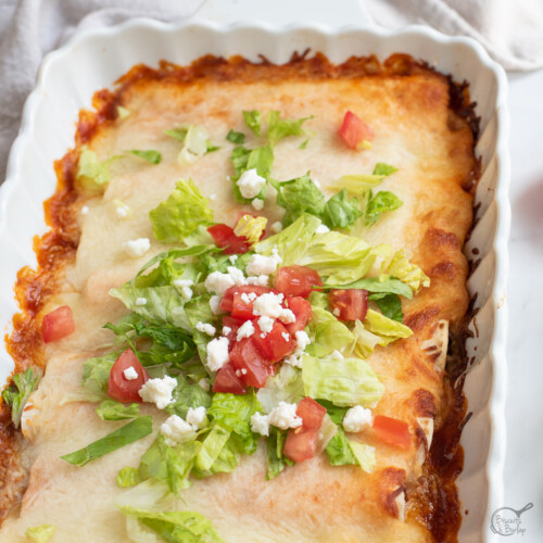 low carb enchiladas with toppings
