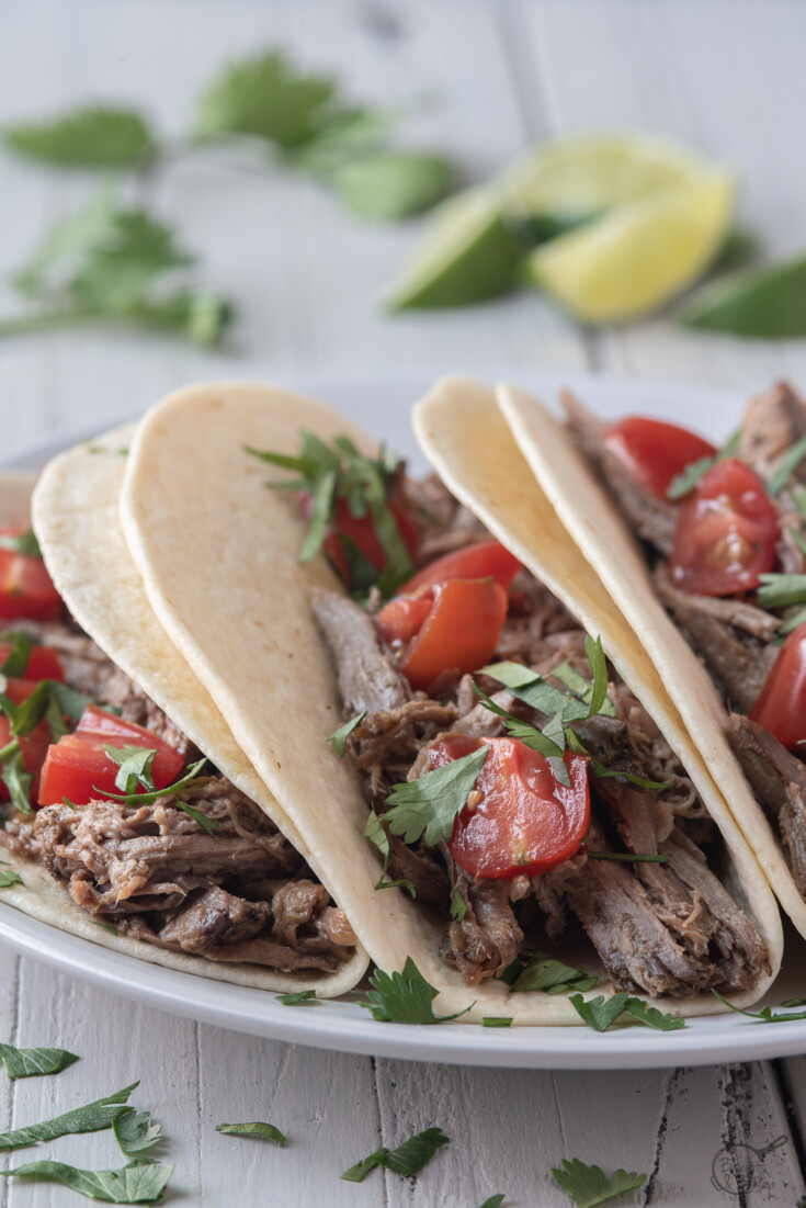 close up of slow cooker shredded beef in tortillas