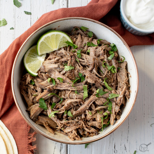 dish with shredded mexican beef.
