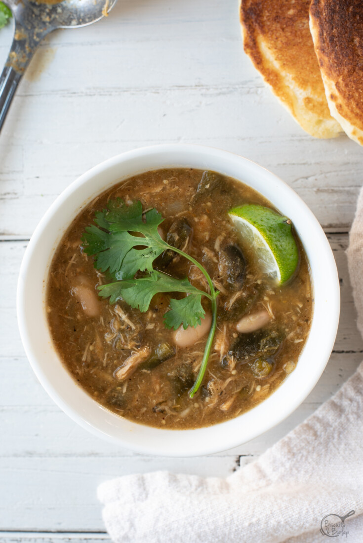 overhead shot of bowl of chicken chili verde