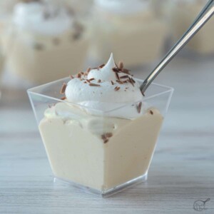 Mudslide Pudding Shot in square glass with a spoon.