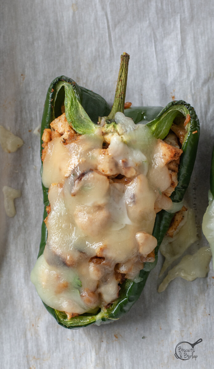 one chicken stuffed poblano pepper with melted cheese