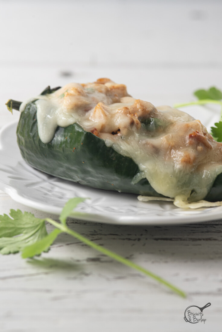 one chicken stuffed poblano pepper with melted cheese