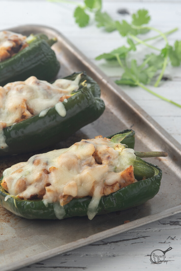 chicken stuffed poblano peppers with melted cheese