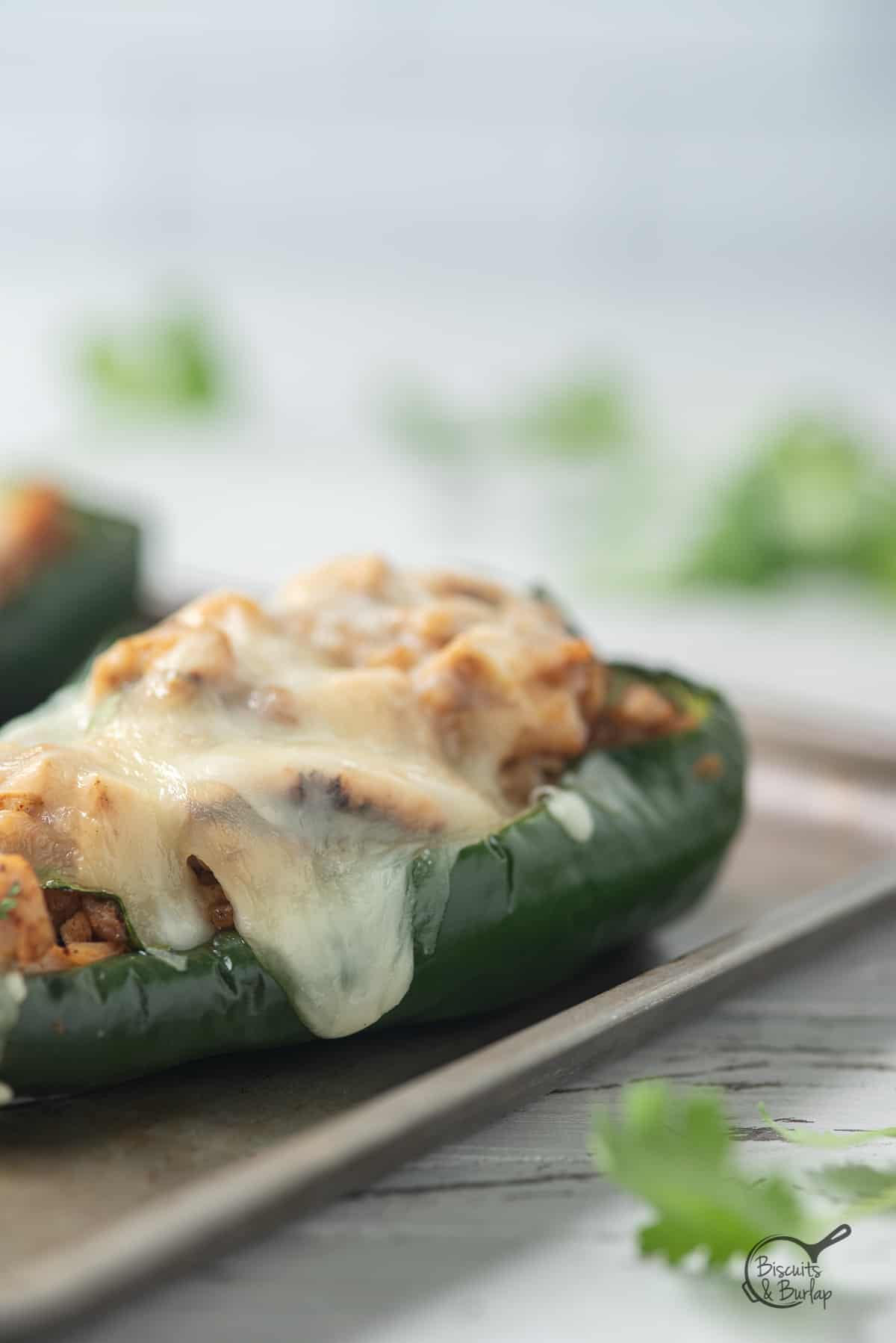 one chicken stuffed poblano pepper with melted cheese