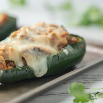 one chicken stuffed poblano pepper with melted cheese