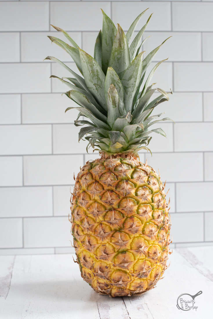 one fresh pineapple on counter.