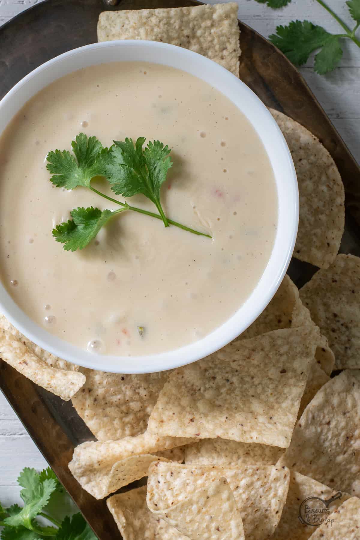 bowl of smoked queso with cilantro on top.