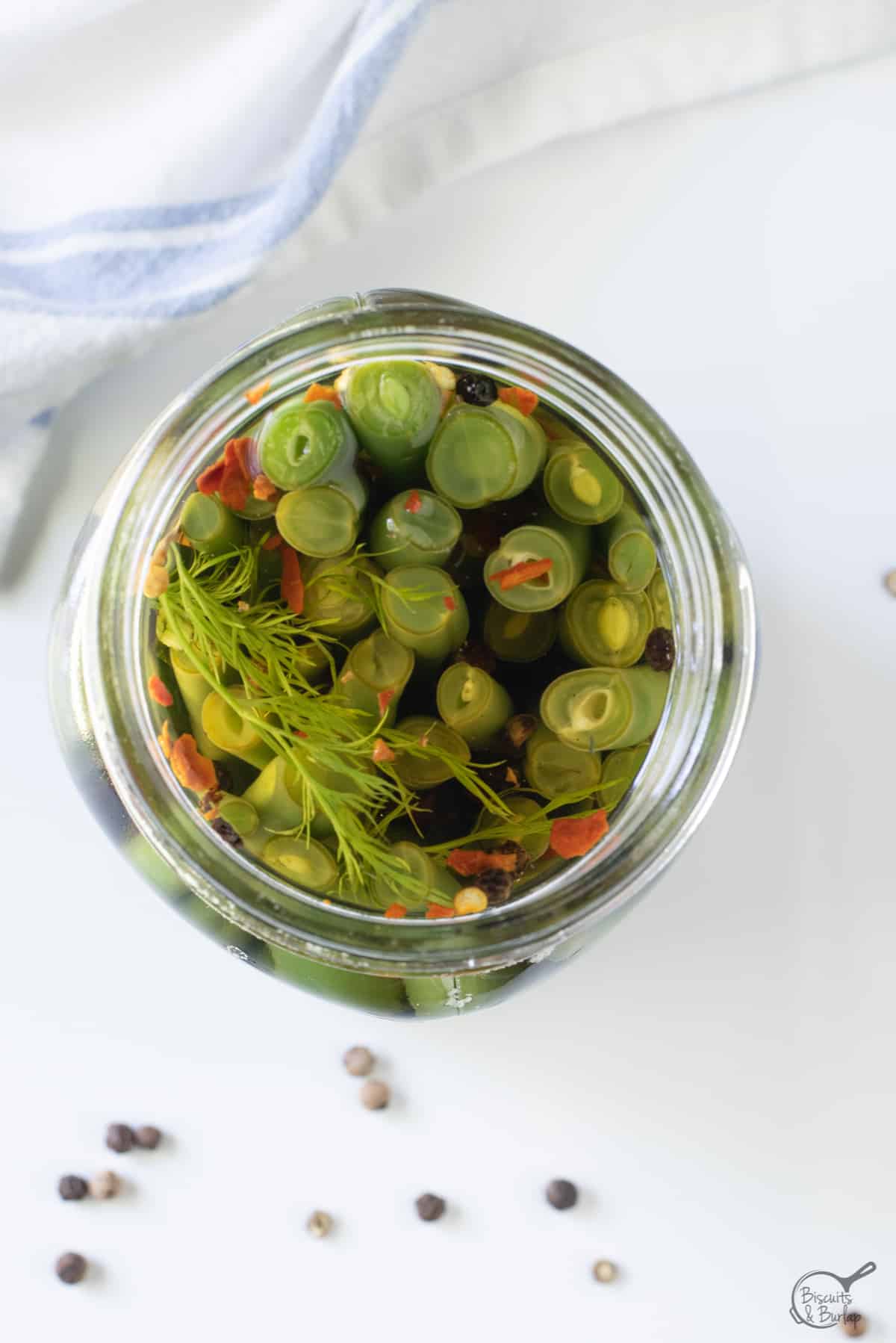 overhead shot of pickled green beans in jar. 