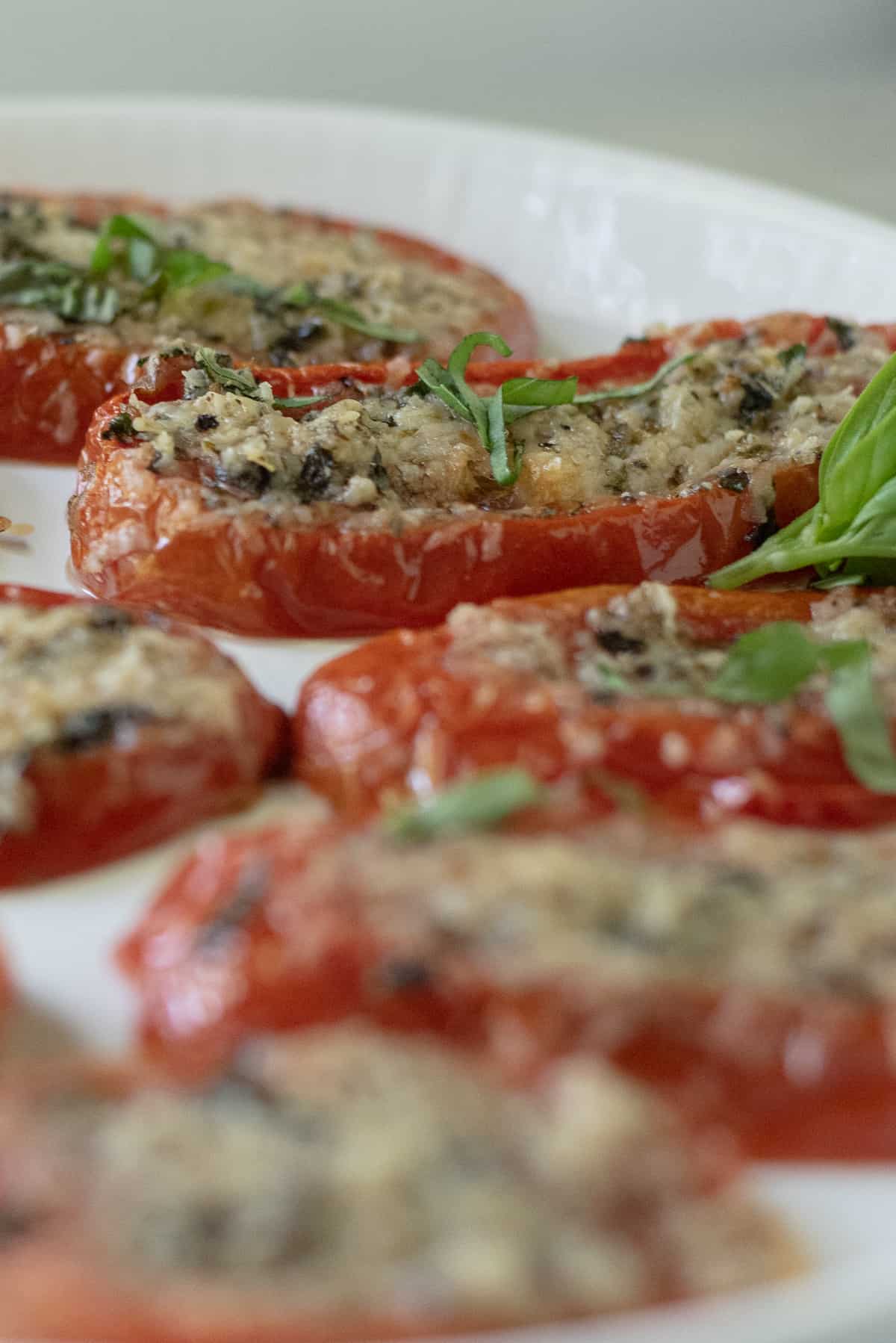 Baked tomato slices with parmesan closeup on white plate