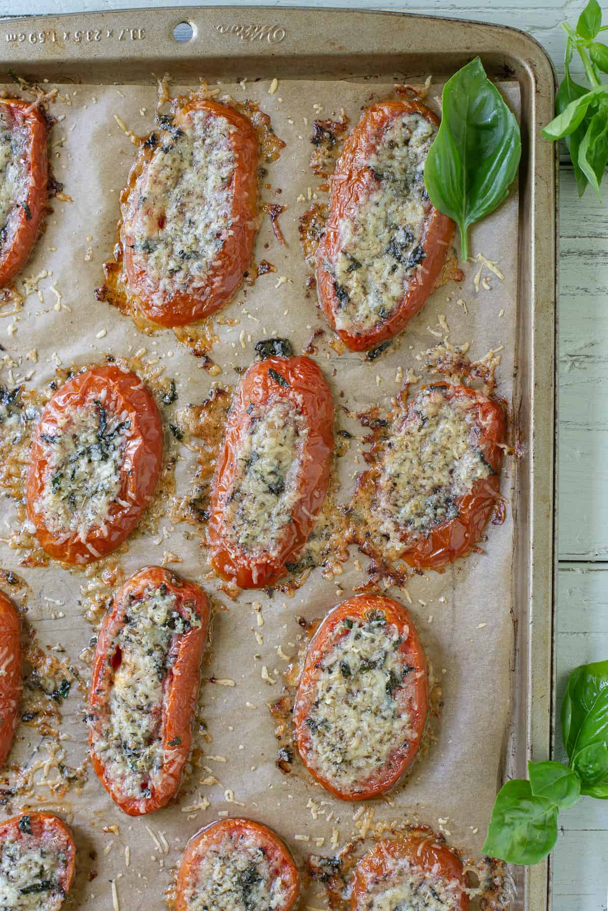 Baked tomato slices with parmesan on baking sheet with fresh basil