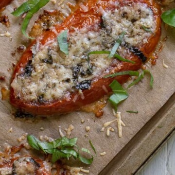 Baked tomato slices with parmesan close up on baking pan with white background