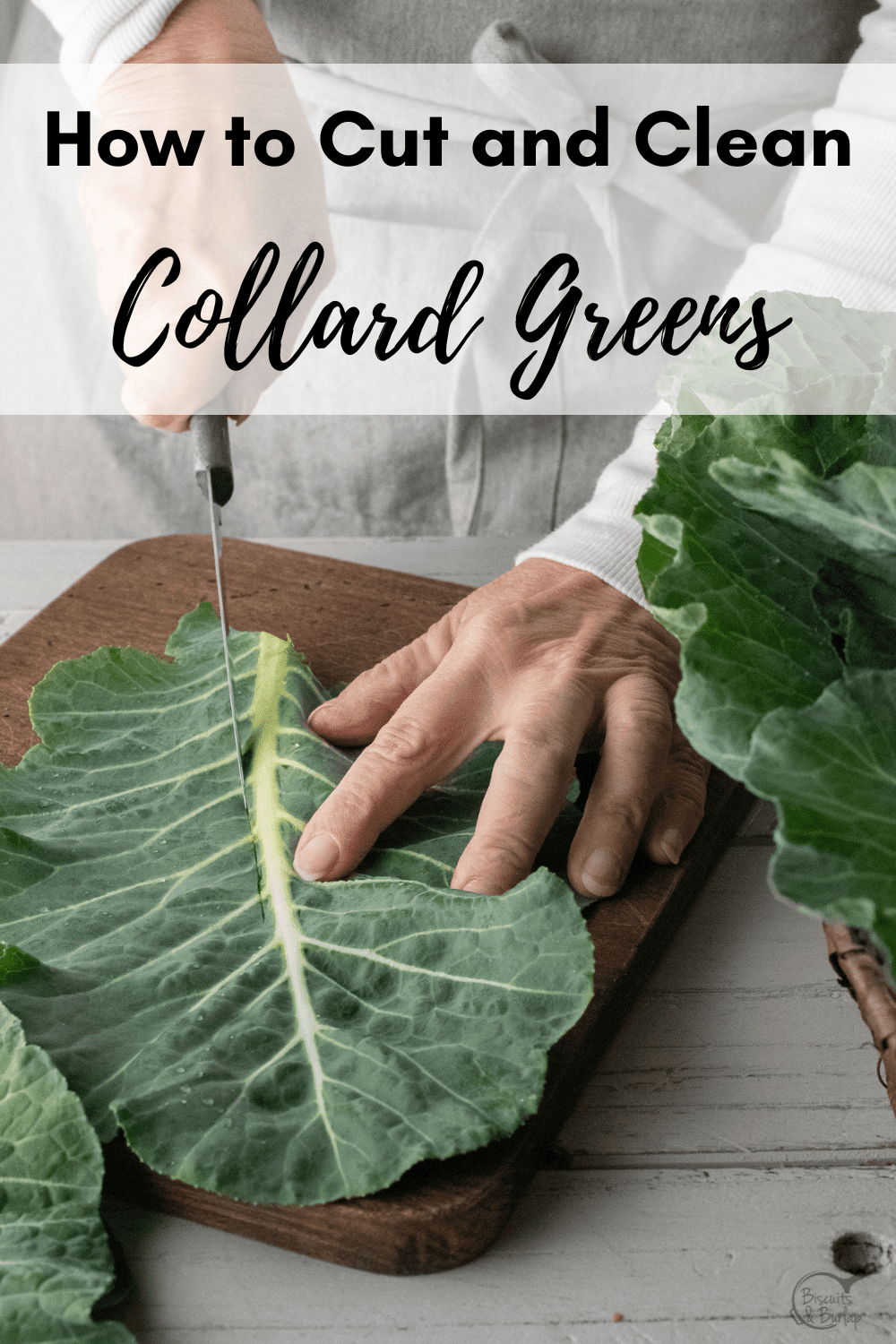 How to Clean Collard Greens