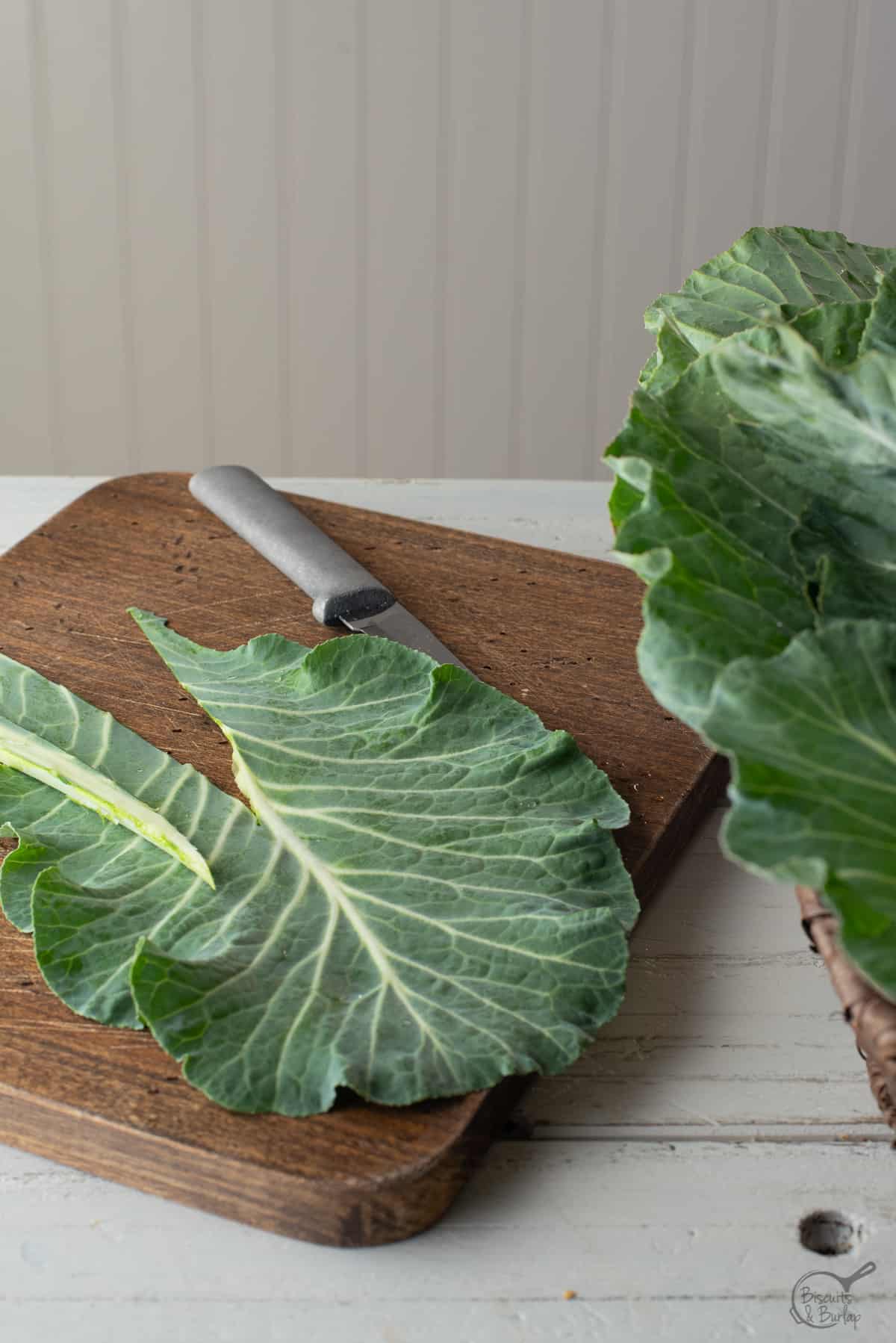 collard leaf with stem removed.