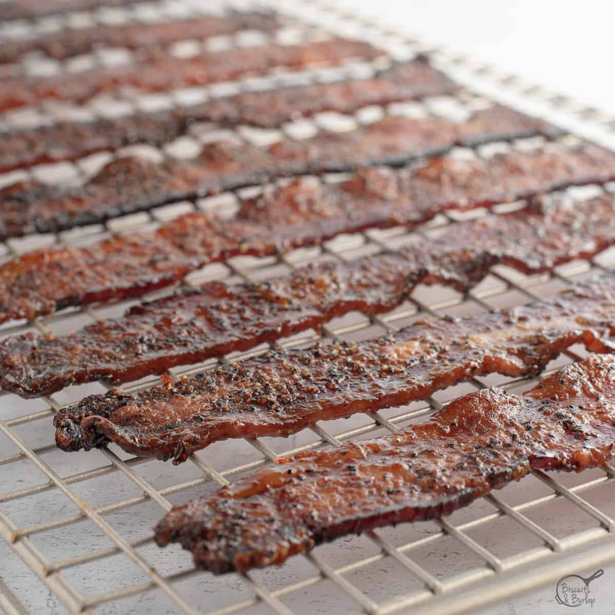 square image of peppered bacon on rack.