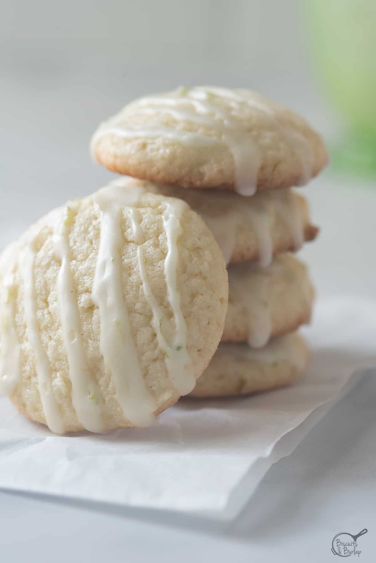 close up of stack of cookies with one leaned up against the stack.