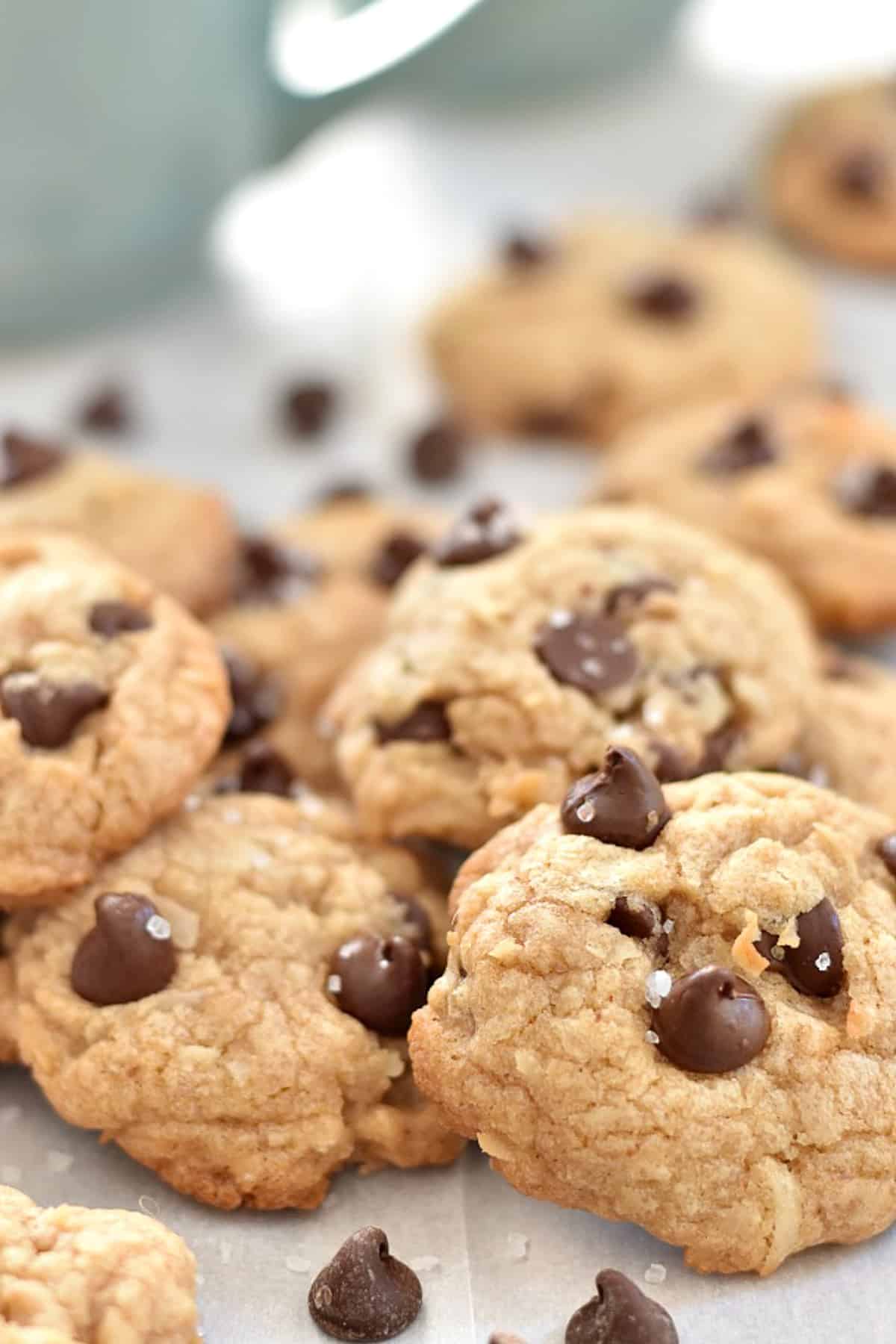 close up of chocolate chip cookies with coconut