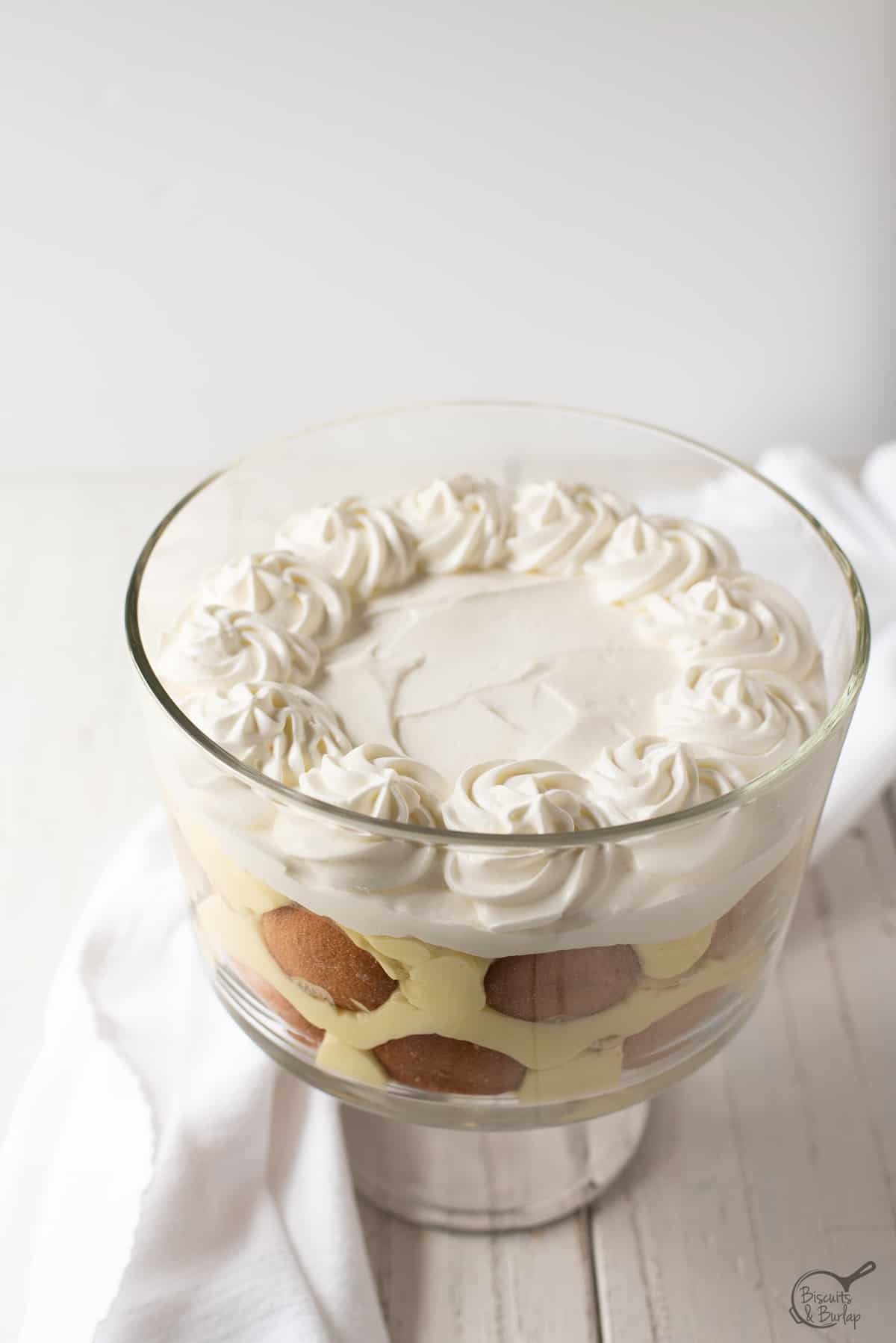Banana pudding with fancy whipped cream on top.