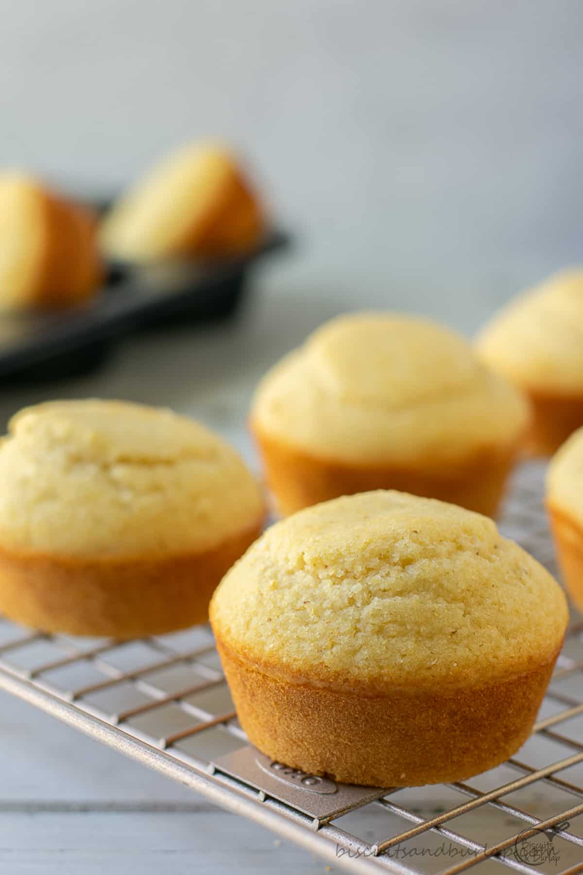 buttermilk cornbread muffins on rack. 