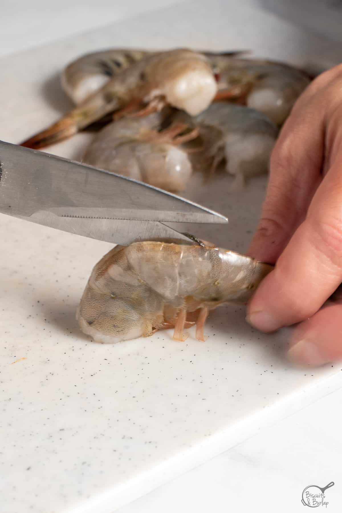 cutting down the back of the shrimp with shears to the tail. 