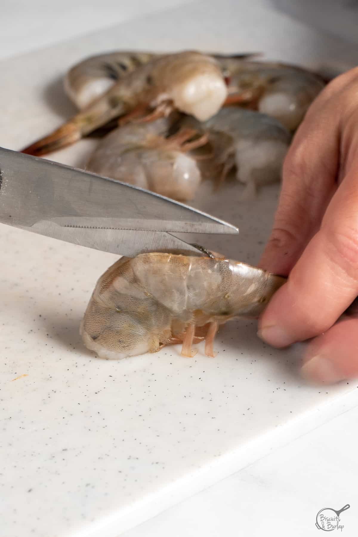 cutting down the back of the shrimp with shears to the tail.