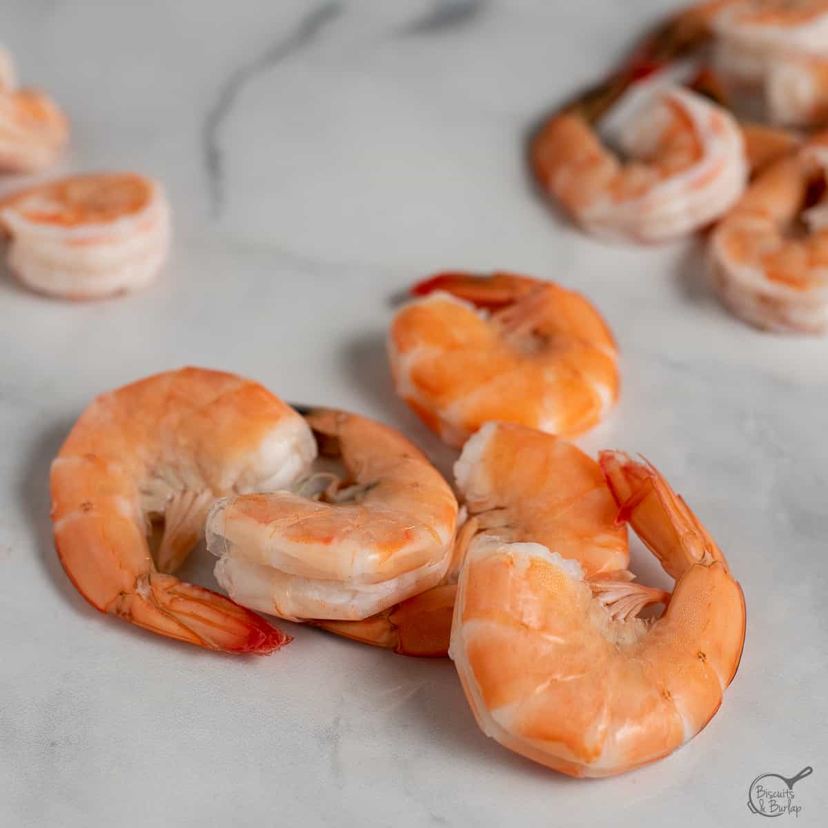 square image of shrimp that has been deveined.