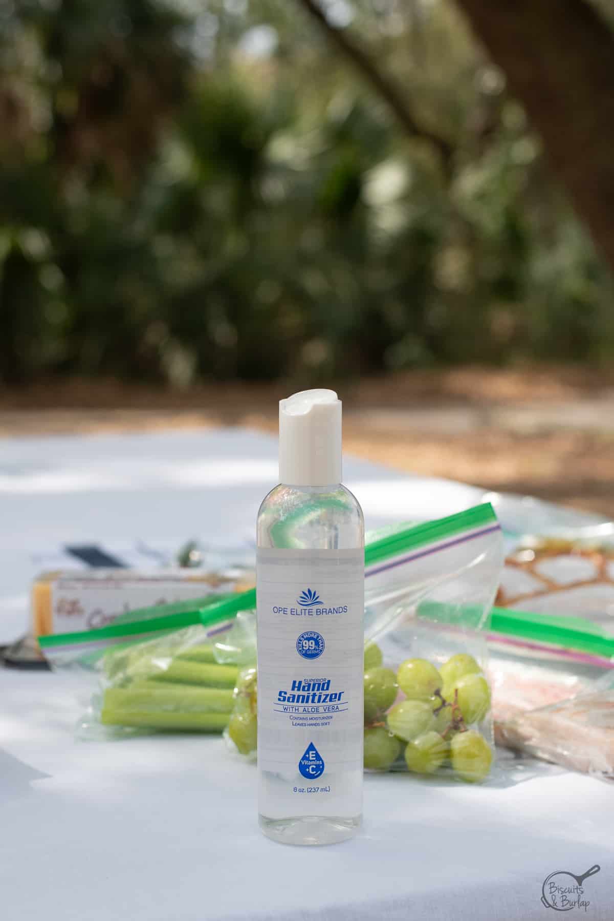 hand sanitizer on picnic table. 