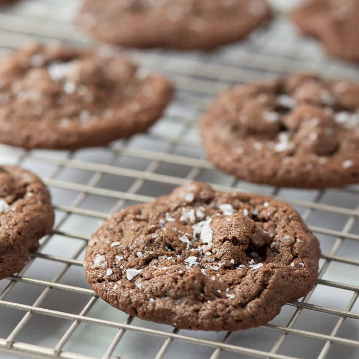 close up of double chocolate chip cookie with more behind.