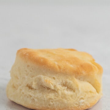 close up of one biscuit.