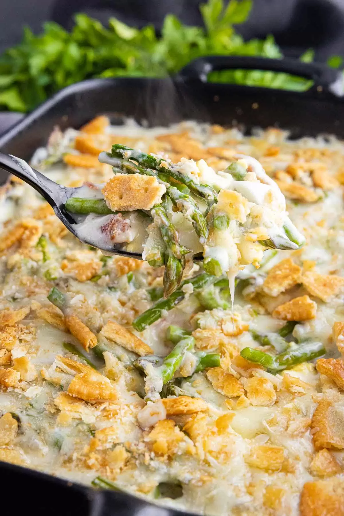 Asparagus Casserole