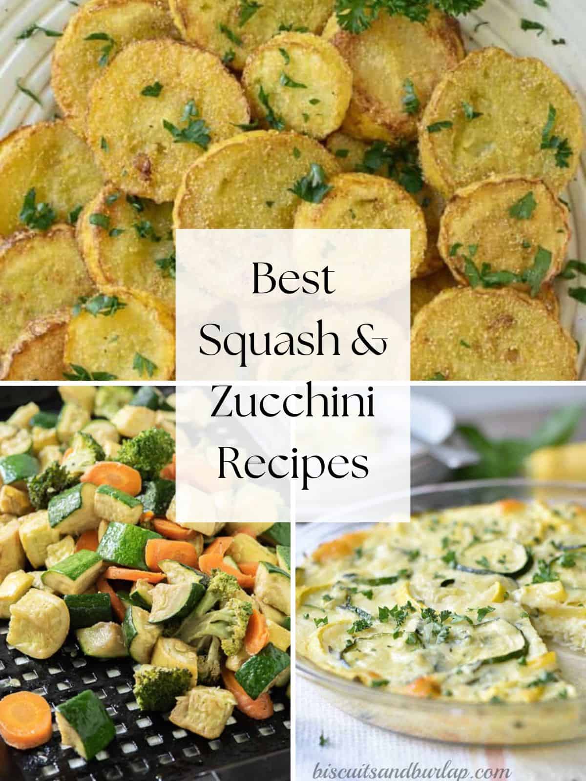 collage of squash & zucchini recipes.