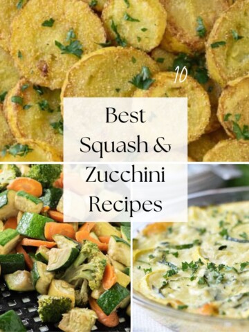 square collage of squash and zucchini recipes.