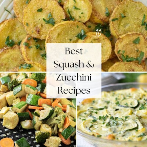 square collage of squash and zucchini recipes.