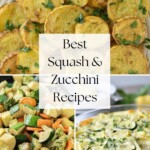 pin image for squash & zucchini recipes.